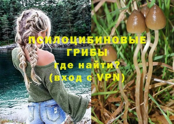 мяу мяу мука Баксан