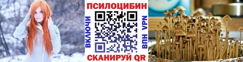 блэк спрут онион  Кондрово  Галлюциногенные грибы прущие грибы 