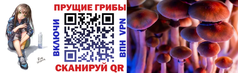 Галлюциногенные грибы мицелий Кондрово